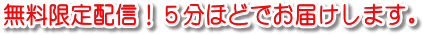 �摜8
